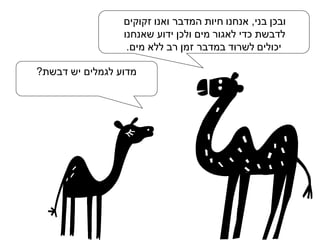 ‫ובכן בני, אנחנו חיות המדבר ואנו זקוקים‬
‫לדבשת כדי לאגור מים ולכן ידוע שאנחנו‬
‫יכולים לשרוד במדבר זמן רב ללא מים.‬
‫מדוע לגמלים יש דבשת?‬

 