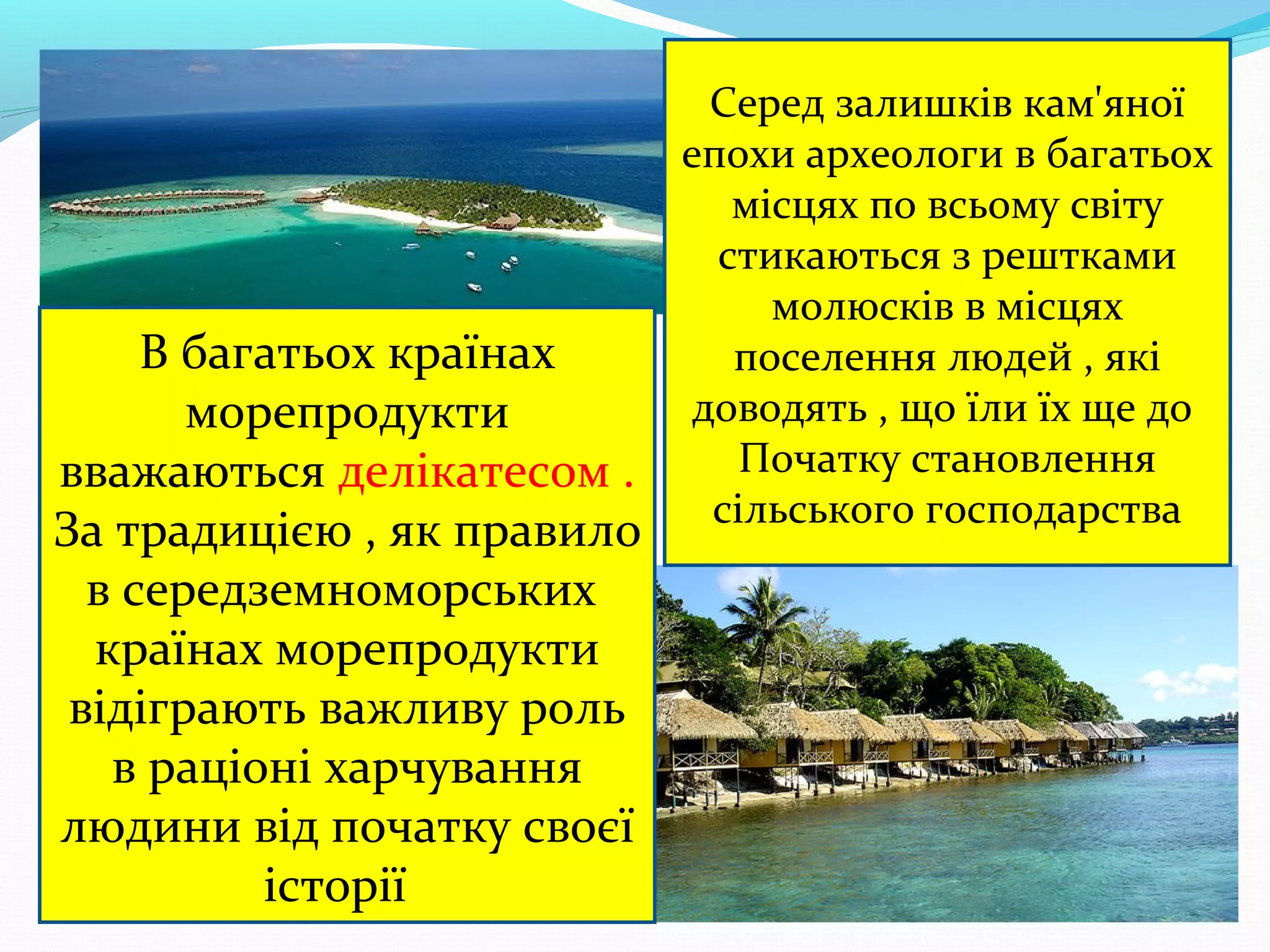 В багатьох країнах
морепродукти
вважаються делікатесом .
За традицією , як правило
в середземноморських
країнах морепродукти
відіграють важливу роль
в раціоні харчування
людини від початку своєї
історії

Серед залишків кам'яної
епохи археологи в багатьох
місцях по всьому світу
стикаються з рештками
молюсків в місцях
поселення людей , які
доводять , що їли їх ще до
Початку становлення
сільського господарства

 