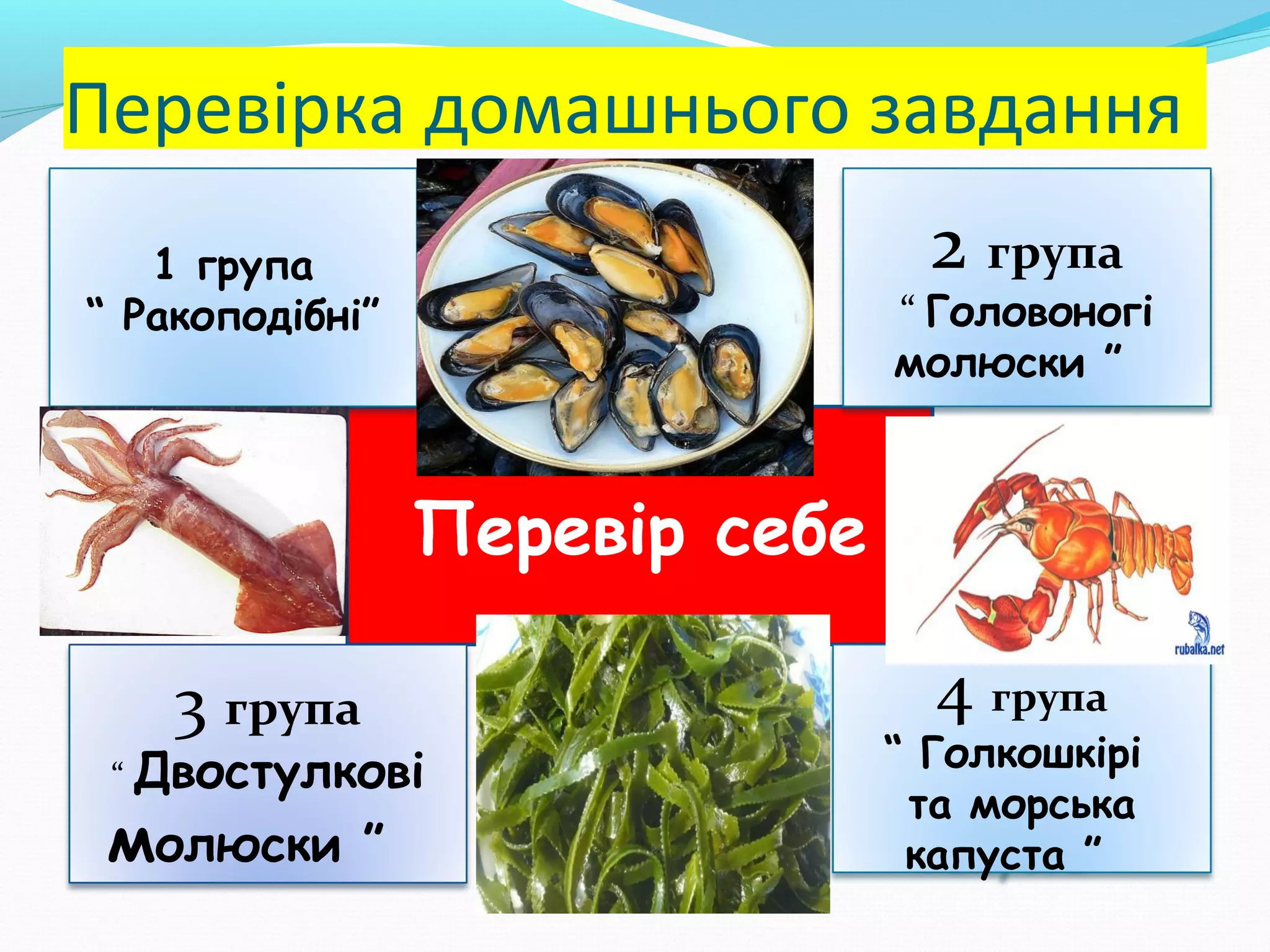 Перевірка домашнього завдання
2 група

1 група
“ Ракоподібні”

“ Головоногі
молюски ”

Перевір себе
4 група

3 група

“ Двостулкові

молюски

”

“ Голкошкірі
та морська
капуста ”

 