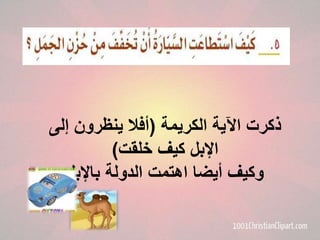 ‫ذكرت اآلية الكريمة (أفًل ينظرون إلى‬
‫اإلبل كيف خلقت)‬
‫وكيف أيضا اهتمت الدولة باإلبل‬

 