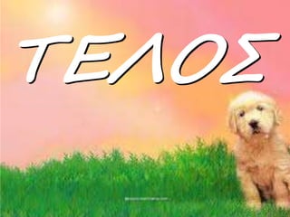ΤΕΛΟΣ

 