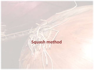 Squash method

 
