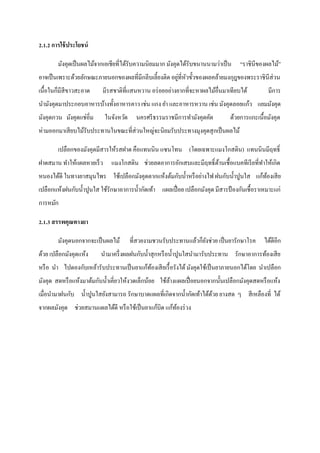 2.1.2 การใช้ ประโยชน์
มังคุดเป็ นผลไม้จากเอเชียที่ได้รับความนิยมมาก มังคุดได้รับขนานนามว่าเป็ น “ราชินีของผลไม้”
่ ั
อาจเป็ นเพราะด้วยลักษณะภายนอกของผลที่มีกลีบเลี้ยงติด อยูที่หวขั้วของผลคล้ายมงกุฎของพระราชิ นีส่วน
เนื้อในก็มีสีขาวสะอาด

มีรสชาติที่แสนหวาน อร่ อยอย่างยากที่จะหาผลไม้อื่นมาเทียบได้

มีการ

นามังคุดมาประกอบอาหารบ้างทั้งอาหารคาว เช่น แกง ยา และอาหารหวาน เช่น มังคุดลอยแก้ว แยมมังคุด
มังคุดกวน มังคุดแช่อิ่ม

ในจังหวัด

นครศรี ธรรมราชมีการทามังคุดคัด

ด้วยการแกะเนื้อมังคุด

ห่ามออกมาเสี ยบไม้รับประทานในขณะที่ส่วนใหญ่จะนิยมรับประทางมุงคุดสุ กเป็ นผลไม้
เปลือกของมังคุดมีสารให้รสฝาด คือแทนนิน แซนโทน (โดยเฉพาะแมงโกสติน) แทนนินมีฤทธิ์
ฝาดสมาน ทาให้แผลหายเร็ ว

แมงโกสติน ช่วยลดอาการอักเสบและมีฤทธิ์ ตานเชื้ อแบคทีเรี ยที่ทาให้เกิด
้

หนองได้ดี ในทางยาสมุนไพร ใช้เปลือกมังคุดตากแห้งต้มกับน้ าหรื อย่างไฟ ฝนกับน้ าปูนใส แก้ทองเสี ย
้
เปลือกแห้งฝนกับน้ าปูนใส ใช้รักษาอาการน้ ากัดเท้า แผลเปื่ อย เปลือกมังคุด มีสารป้ องกันเชื้ อราเหมาะแก่
การหมัก
2.1.3 สรรพคุณทางยา
มังคุดนอกจากจะเป็ นผลไม้
ด้วย เปลือกมังคุดแห้ง

ที่สวยงามชวนรับประทานแล้วก็ยงช่วย เป็ นยารักษาโรค ได้ดีอีก
ั

นามาครึ่ งผลฝนกับน้ าสุ กหรื อน้ าปูนใสนามารับประทาน รักษาอาการท้องเสี ย

หรื อ นา ไปดองกับเหล้ารับประทานเป็ นยาแก้ทองเสี ยเรื้ อรังได้ มังคุดใช้เป็ นยาภายนอกได้โดย นาเปลือก
้
มังคุด สดหรื อแห้งมาต้มกับน้ าเคี่ยวให้งวดเล็กน้อย ใช้ลางแผลเปื่ อยนอกจากนั้นเปลือกมังคุดสดหรื อแห้ง
้
เมื่อนามาฝนกับ น้ าปูนใสยังสามารถ รักษาบาดแผลที่เกิดจากน้ ากัดเท้าได้ดวย ยางสด ๆ สี เหลืองที่ ได้
้
จากผลมังคุด ช่วยสมานแผลได้ดี หรื อใช้เป็ นยาแก้บิด แก้ทองร่ วง
้

 