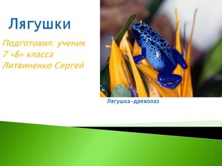 Лягушки | PPT