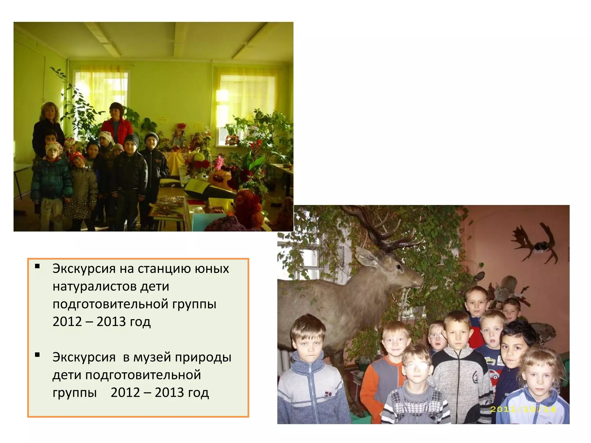  Экскурсия на станцию юных
натуралистов дети
подготовительной группы
2012 – 2013 год
 Экскурсия в музей природы
дети подготовительной
группы 2012 – 2013 год
 