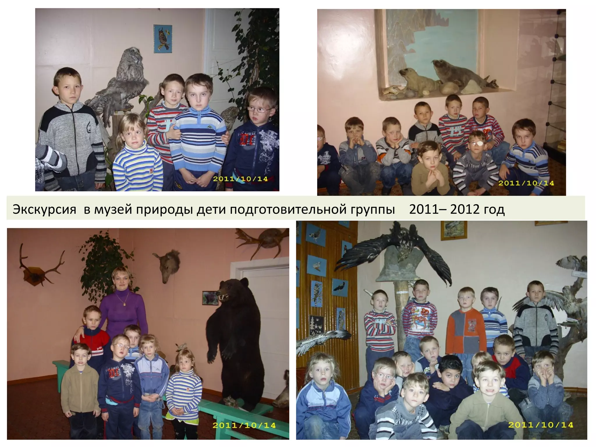 Экскурсия в музей природы дети подготовительной группы 2011– 2012 год
 