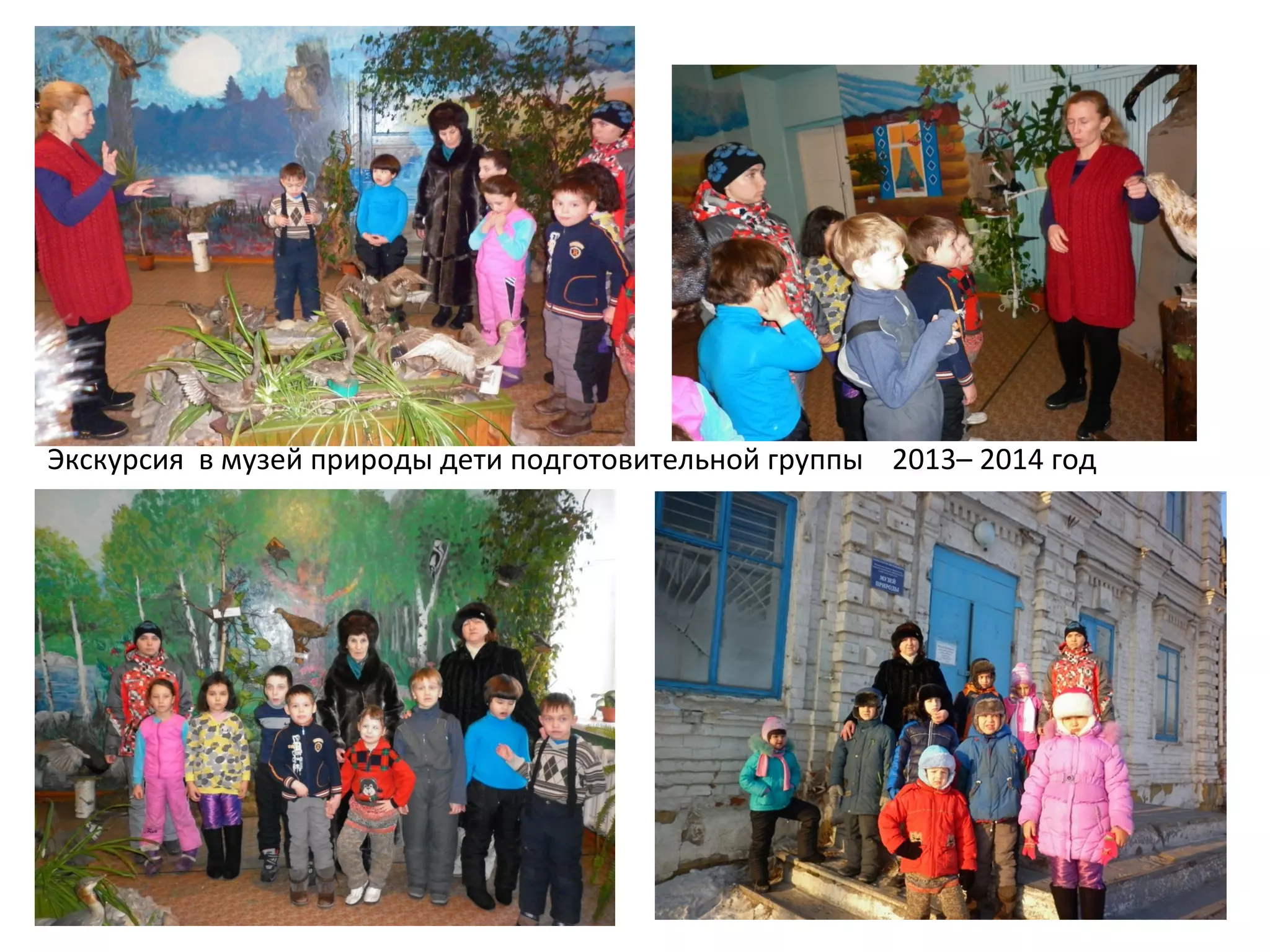 Экскурсия в музей природы дети подготовительной группы 2013– 2014 год
 