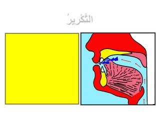 التجويد المصور للشيخ أيمن السويد