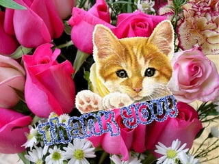 القصور الكلوى الحاد