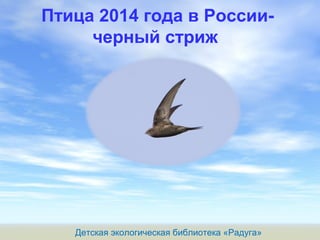 Птица 2014 года в России-
черный стриж
Детская экологическая библиотека «Радуга»
 