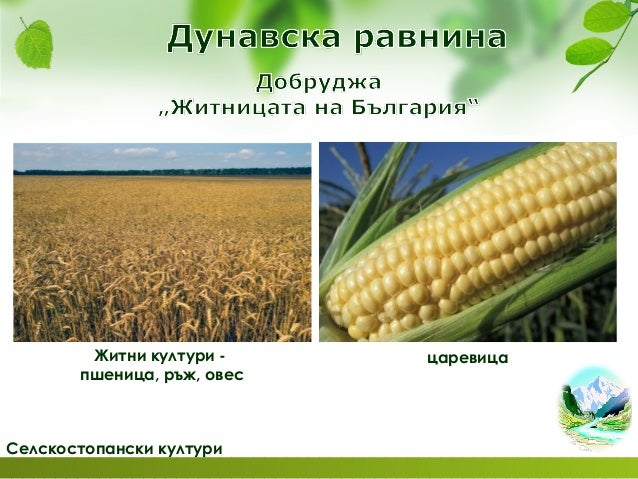 низини и равнини