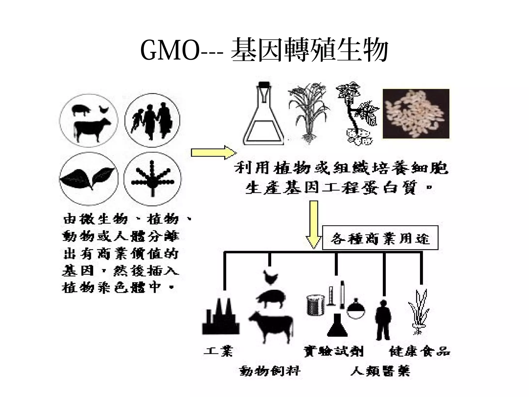 GMO--- 基因轉殖生物
 