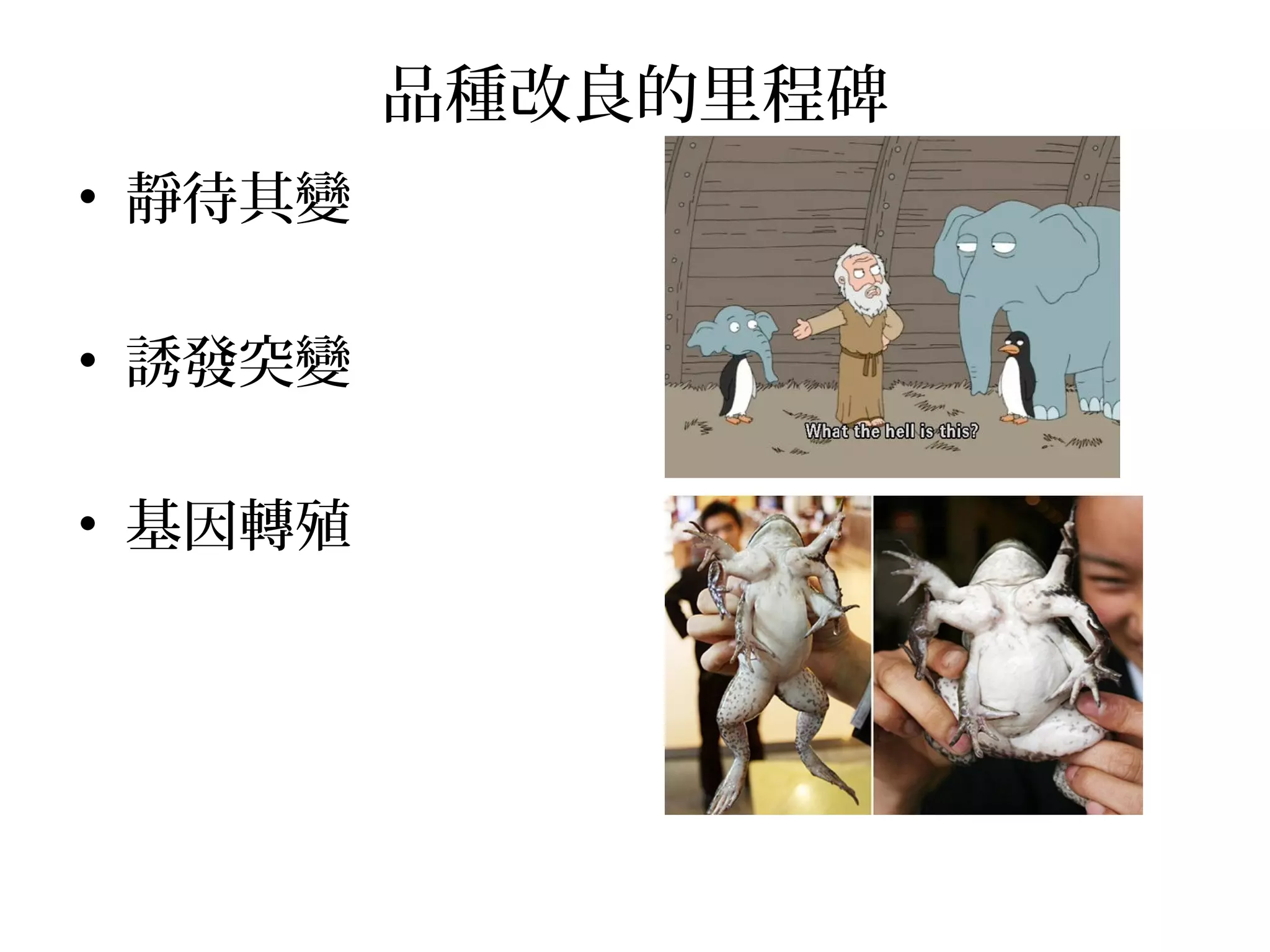 品種改良的里程碑
• 靜待其變
• 誘發突變
• 基因轉殖
 