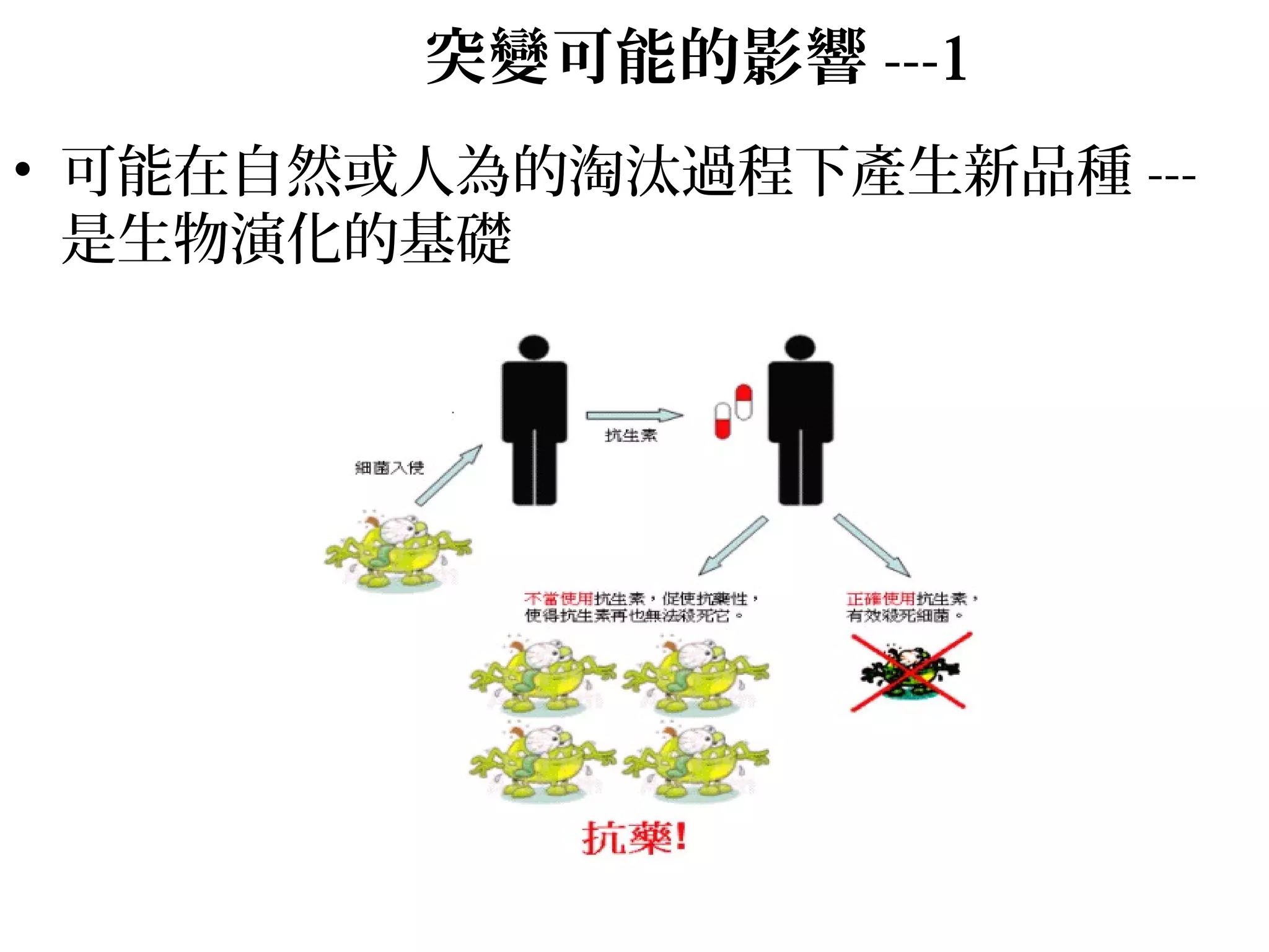突變可能的影響 ---1
• 可能在自然或人為的淘汰過程下產生新品種 ---
是生物演化的基礎
 