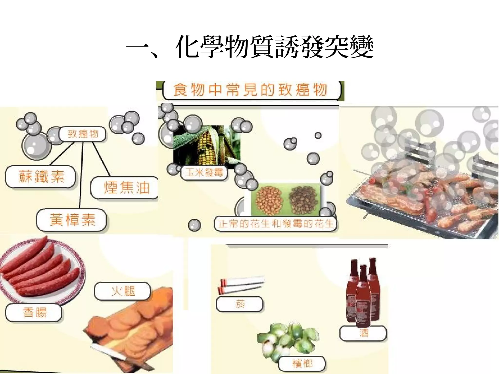 一、化學物質誘發突變
 