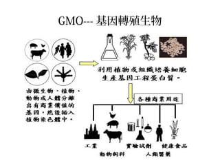 GMO--- 基因轉殖生物
 