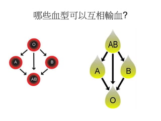 哪些血型可以互相輸血?
 