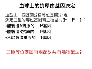 血球上的抗原由基因決定
三種等位基因兩兩配對共有幾種配法?
血型由一個基因(2個等位基因)決定
決定血型的等位基因有三種型式(IA、 IB 、 Ii ）
•能製造A抗原的---IA基因
•能製造B抗原的---IB基因
•不能製造抗原的---Ii基因
 