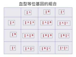 血型等位基因的組合
ＩB
ＩA
ＩA ＩB Ｉi
Ｉi
ＩAＩA ＩAＩB
ＩiＩi
ＩAＩB
ＩAＩi
ＩBＩB ＩBＩi
ＩBＩi
ＩAＩi
 