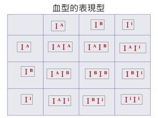 血型的表現型
ＩB
ＩA
ＩA ＩB Ｉi
Ｉi
ＩAＩA ＩAＩB
ＩiＩi
ＩAＩB
ＩAＩi
ＩBＩB ＩBＩi
ＩBＩi
ＩAＩi
 