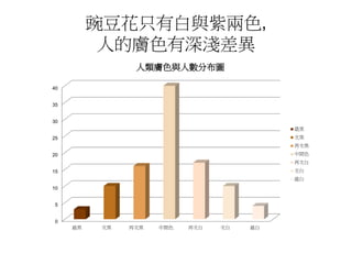 豌豆花只有白與紫兩色,
人的膚色有深淺差異
0
5
10
15
20
25
30
35
40
最黑 次黑 再次黑 中間色 再次白 次白 最白
人類膚色與人數分布圖
最黑
次黑
再次黑
中間色
再次白
次白
最白
 