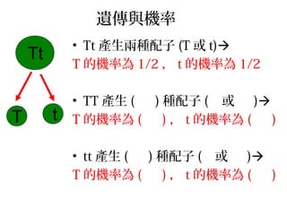 遺傳與機率
• Tt 產生兩種配子 (T 或 t)
T 的機率為 1/2 ， t 的機率為 1/2
• TT 產生 ( ) 種配子 ( 或 )
T 的機率為 ( ) ， t 的機率為 ( )
• tt 產生 ( ) 種配子 ( 或 )
T 的機率為 ( ) ， t 的機率為 ( )
Tt
T t
 
