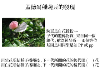Bell5 20
豌豆是自花授粉 ---
子代的遺傳物質 , 來自同一個
親代 , 稱為純品系 --- 兩個等位
基因是相同型是如 PP 或 pp
用紫花所結種子播種後 , 下一代所開的花的後代開 ( ) 花
用白花所結種子播種後 , 下一代所開的花的後代開 ( ) 花
孟德爾種豌豆的發現
 