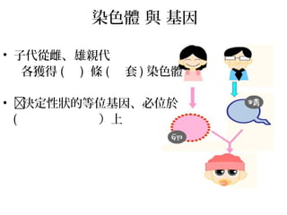染色體 與 基因
• 子代從雌、雄親代
各獲得 ( ) 條 ( 套 ) 染色體
• 決定性狀的等位基因、必位於
( ）上
 
