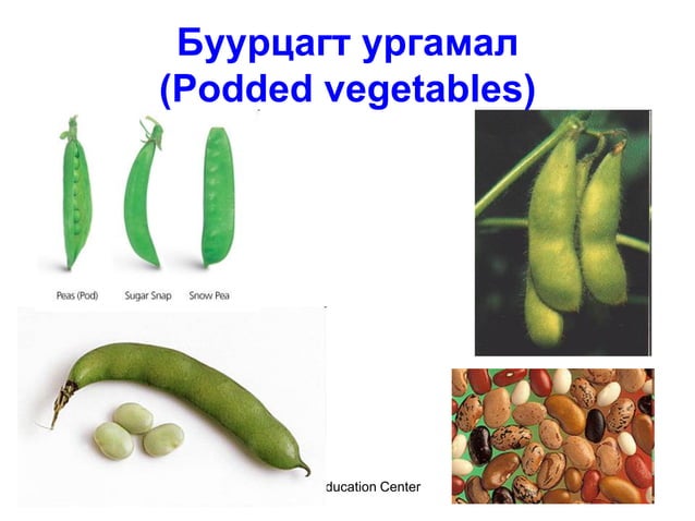 хүнсний ногооны ангилал