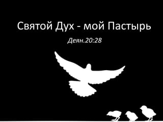 Святой Дух - мой Пастырь
Деян.20:28
 