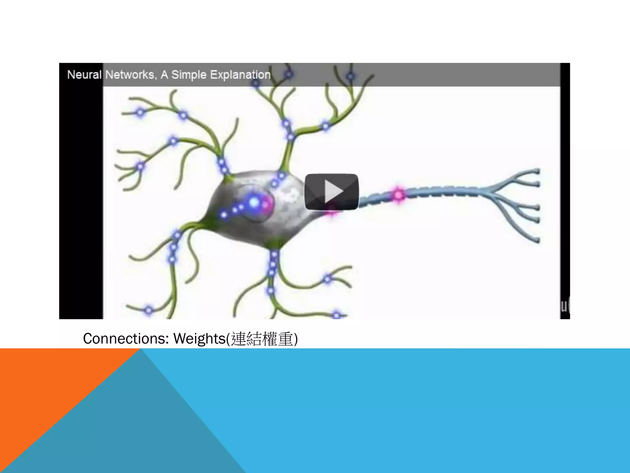 Connections: Weights(連結權重)
 