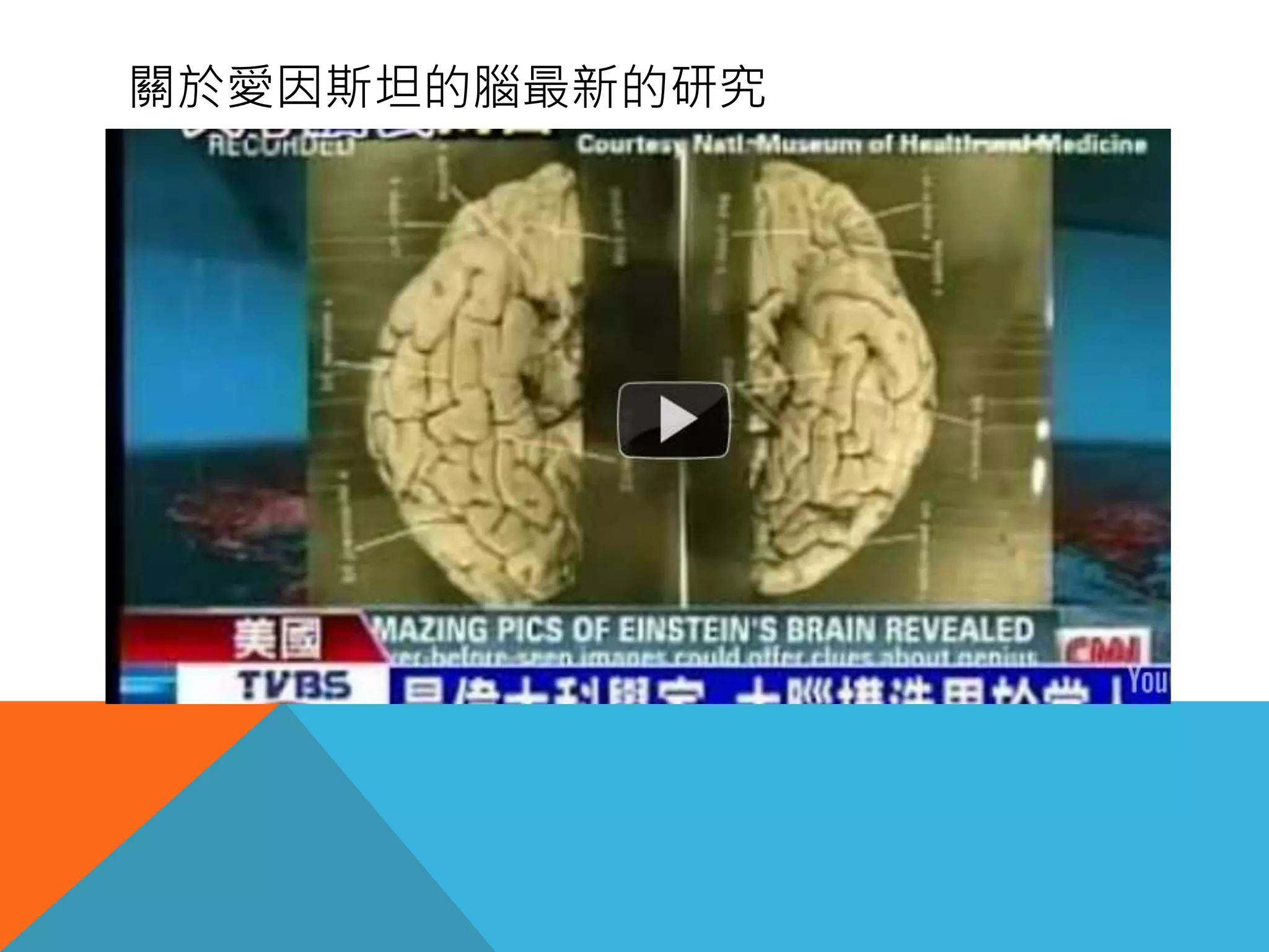 關於愛因斯坦的腦最新的研究
 