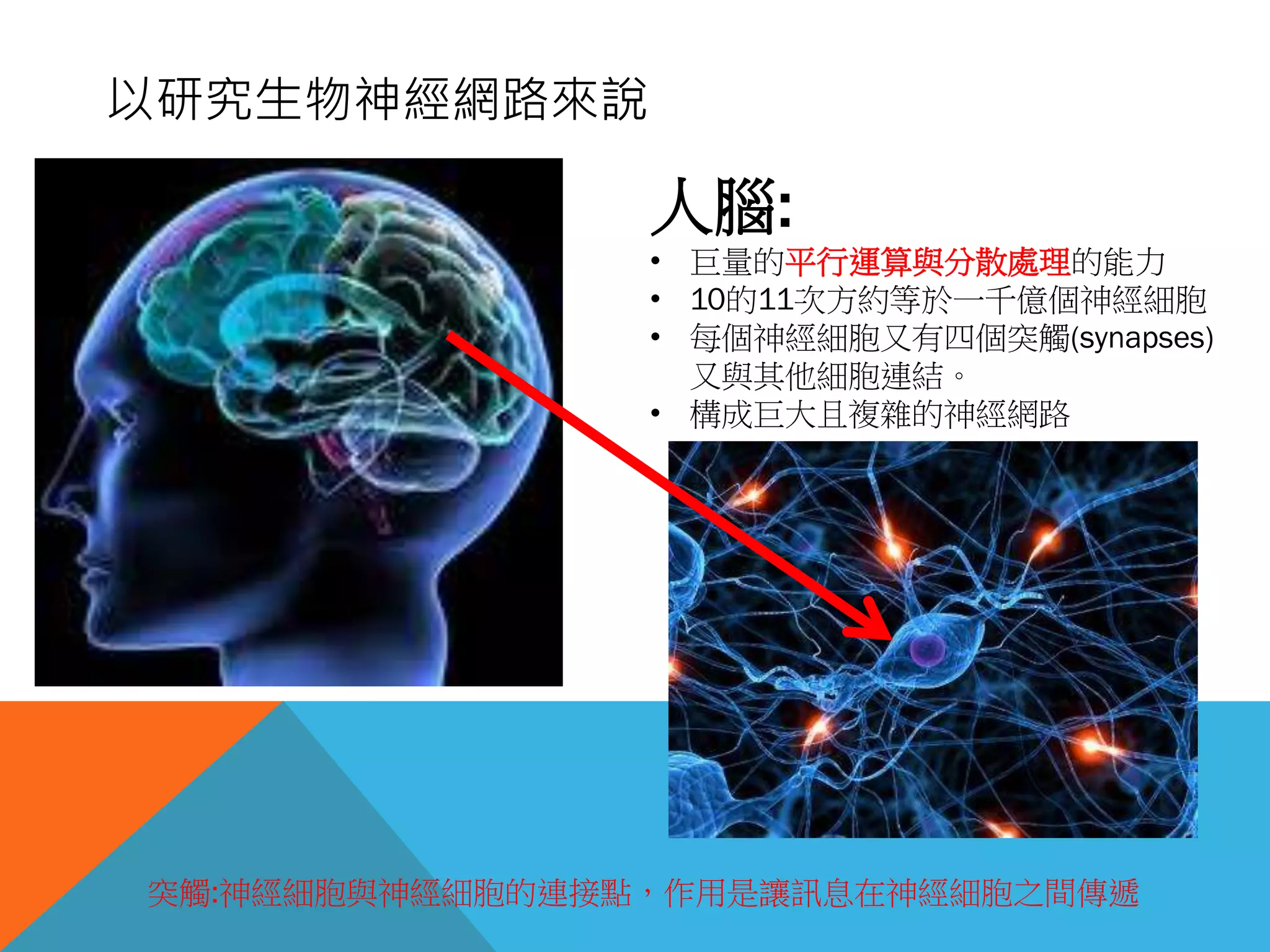 以研究生物神經網路來說
人腦:
• 巨量的平行運算與分散處理的能力
• 10的11次方約等於一千億個神經細胞
• 每個神經細胞又有四個突觸(synapses)
又與其他細胞連結。
• 構成巨大且複雜的神經網路
突觸:神經細胞與神經細胞的連接點，作用是讓訊息在神經細胞之間傳遞
 