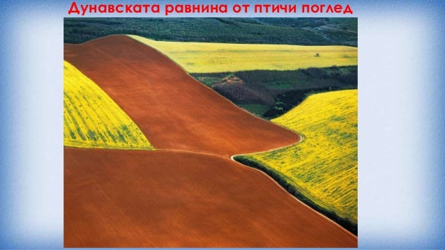 низини и равнини