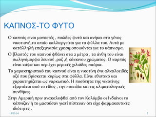 ΚΑΠΝΟΣ-ΤΟ ΦΥΤΟ
Ο καπνός είναι μονοετές , ποώδες φυτό και ανήκει στο γένος
νικοτιανή,το οποίο καλλιεργείται για τα φύλλα του. Αυτά με
κατάλληλή επεξεργασία χρησιμοποιούνται για το κάπνισμα.
Ο βλαστός του καπνού φθάνει στα 2 μέτρα , τα άνθη του είναι
σωληνόμορφα λευκού ,ροζ ,ή κόκκινου χρώματος. Ο καρπός
είναι κάψα και περιέχει μερικές χιλιάδες σπόρια.
Το χαρακτηριστικό του καπνού είναι η νικοτίνη ένα αλκαλοειδές
οξύ που βρίσκεται κυρίως στα φύλλα. Είναι εθιστικό και
χαρακτηρίζεται ως ναρκωτικό. Η ποσότητα της νικοτίνης
εξαρτάται από το είδος , την ποικιλία και τις κλιματολογικές
συνθήκες.
Στην Αμερική πριν ανακαλυφθεί από τον Κολόμβο οι Ινδιάνοι το
κάπνιζαν ή το μασούσαν γιατί πίστευαν ότι είχε φαρμακευτικές
ιδιότητες .
15/03/14 5
 
