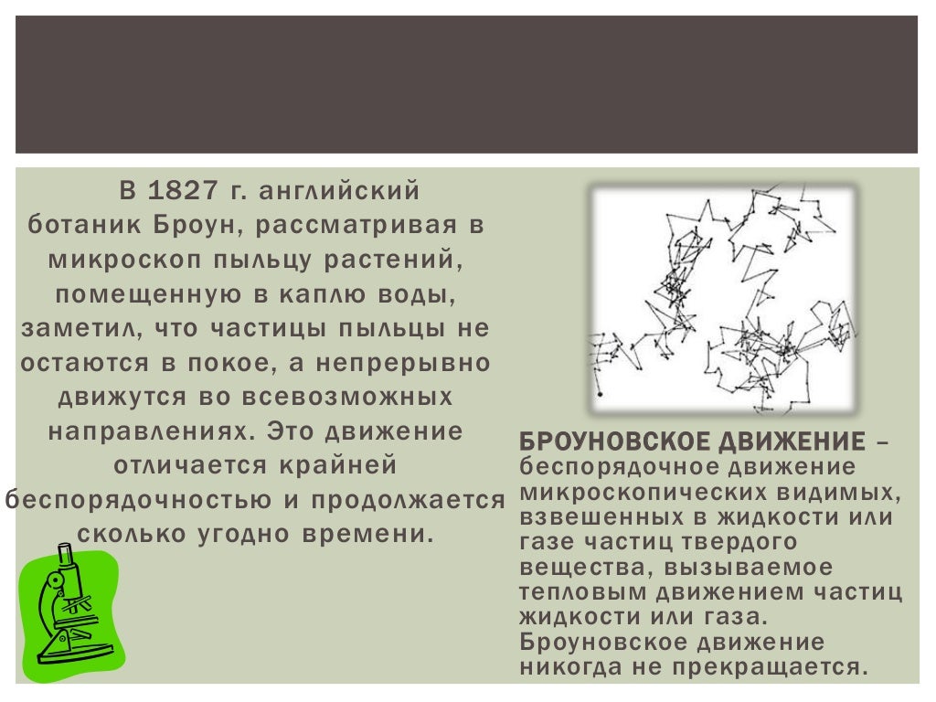 Какое движение называют броуновским. Какое движение называют броуновским