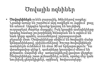 Ծովային ոզնիներ
• Ծովոզնիներն ունեն բարալիկ, ծծիչներով ոտքեր:
Նրանք առաջ են շարժում այդ ոտքերն ու ձգվում՝ քայլ
են անում: Այդպես նրանք կարող են նույնիսկ
ուղղաբերձ ժայռեր մագլցել: Իսկ կրային ասեղիկները
նրանց համար յուրօրինակ հենարան են և օգնում են
նաև կերը պահել ատամներով շրջապատված
բերանի մոտ: Ծովոզնիները սնվում են ծովային մանր
կենդանիներով, ջրիմուռներով: Խոշոր ծովոզնիների
ասեղներն ունենում են մոտ 30 սմ երկարություն: Դա
վտանգավոր զենք է. ասեղները կոտրվում-մնում են
թշնամու մարմնի մեջ՝ առաջացնելով ցավոտ վերքեր:
Ծովոզնիները շատ թշնամիներ ունեն, որոնց մեջ կան
նույնիսկ ցեղակիցներ, օրինակ՝ ծովաստղերը:
 