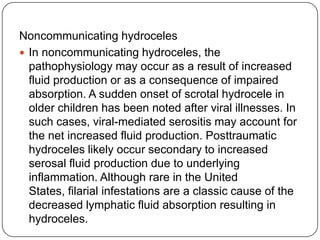 Noncommunicating hydroceles
 In noncommunicating hydroceles, the
pathophysiology may occur as a result of increased
fluid production or as a consequence of impaired
absorption. A sudden onset of scrotal hydrocele in
older children has been noted after viral illnesses. In
such cases, viral-mediated serositis may account for
the net increased fluid production. Posttraumatic
hydroceles likely occur secondary to increased
serosal fluid production due to underlying
inflammation. Although rare in the United
States, filarial infestations are a classic cause of the
decreased lymphatic fluid absorption resulting in
hydroceles.
 