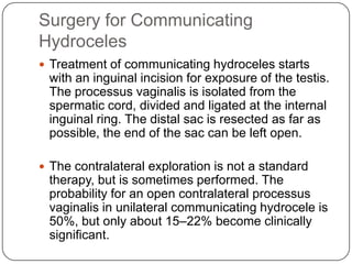 Surgery for Communicating
Hydroceles
 Treatment of communicating hydroceles starts
with an inguinal incision for exposure of the testis.
The processus vaginalis is isolated from the
spermatic cord, divided and ligated at the internal
inguinal ring. The distal sac is resected as far as
possible, the end of the sac can be left open.
 The contralateral exploration is not a standard
therapy, but is sometimes performed. The
probability for an open contralateral processus
vaginalis in unilateral communicating hydrocele is
50%, but only about 15–22% become clinically
significant.
 