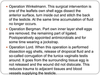  Operation Winkelmann. This surgical intervention is
one of the leaflets own shell eggs dissect the
anterior surface, turn inside out and stitch the back
of the testicle. At the same time accumulation of fluid
no longer occurs.
 Operation Bergman. Part own inner layer shell eggs
are removed, the remaining part of ligated.
Postoperatively appointed antimicrobials and for
some time wearing a jockstrap.
 Operation Lord. When this operation is performed
dissection egg shells, release of dropsical fluid and a
so-called corrugation of the tunica vaginalis testis
around. It goes from the surrounding tissue egg is
not released and the wound did not dislocate. This
reduces trauma to adjacent tissues and blood
vessels supplying the testicle.
 