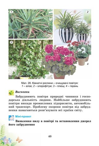 40
1 2
3
4
Мал. 28. Кімнатні рослини – очищувачі повітря:
1 – алое; 2 – хлорофітум; 3 – плющ; 4 – герань
Висновки
Забруднюють повітря природні чинники і госпо-
дарська діяльність людини. Найбільше забруднюють
повітря викиди промислових підприємств, автомобіль-
ний транспорт. Проблему охорони повітря від забруд-
нення намагаються розв’язувати всі країни світу.
Міні-проект
Виявлення пилу в повітрі та встановлення джерел
його забруднення
 