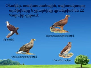 Օձակեր, տափաստանային, սպիտակապոչ
արծիվները և ջրարծիվը գրանցված են ՀՀ
Կարմիր գրքում:
Ջրարծիվ
Օձակեր արծիվ
Տափաստանային արծիվ
Սպիտակապոչ արծիվ
 