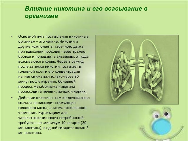 Влияние курения, употребления алкоголя и наркотиков на эмбриональное развитие - 
