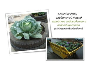 решение есть –
глобальный тренд
городское садоводство и
огородничество
(urbangarden&urbanfarm)
 