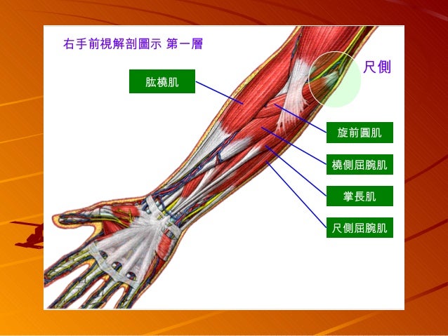 漫談常見之運動傷害與職業傷害