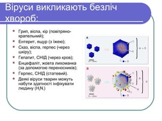 Віруси викликають безліч
хвороб:
 Грип, віспа, кір (повітряно-
крапельний);
 Ентерит, ящур (з їжею);
 Сказ, віспа, герпес (через
шкіру);
 Гепатит, СНІД (через кров);
 Енцефаліт, жовта лихоманка
(за допомогою переносників);
 Герпес, СНІД (статевий).
 Деякі віруси тварин можуть
набути здатності інфікувати
людину (H5N1)
 