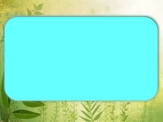 รวบรวม การทำงาน กอ.รมน ภูเก็ต. Now