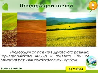 Почви в България
богат и разнообразен
дървета храсти
тревисти
 