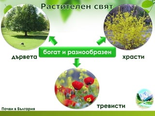 Почви в България
богат и разнообразен
дървета храсти
тревисти
 