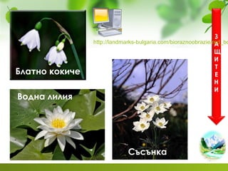 Блатно кокиче
Водна лилия
Съсънка
З
А
Щ
И
Т
Е
Н
И
http://landmarks-bulgaria.com/bioraznoobrazie/red_bo
 